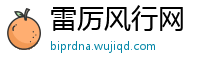 雷厉风行网